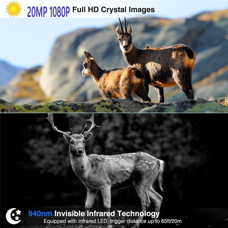 Cámaras móviles celulares de la caza de la visión nocturna de la cámara 20MP 1080P de la fauna del rastro de HC801M 2G MMS SMS SMTP