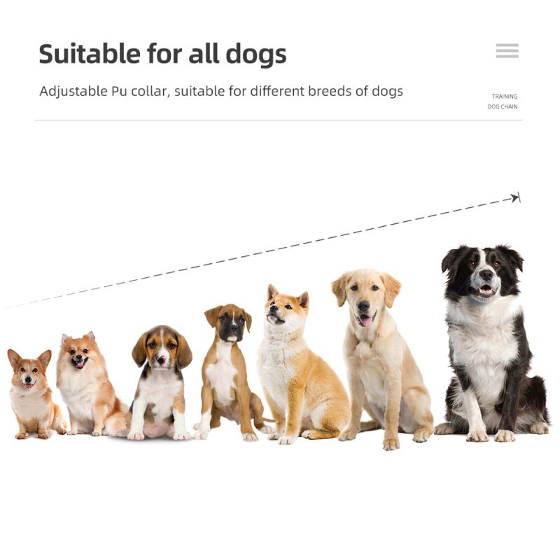 Collar de entrenamiento para perros de 800 m, dispositivo de entrenamiento para perros IP7, resistente al agua, Control remoto para mascotas, collar de perro recargable