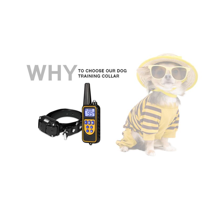 800m Electric Dog Collan Colllar PET control remoto impermeable recargable con pantalla LCD para todos los collares de tope de corteza