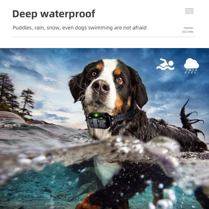 Collar de entrenamiento para perros de 800 m, dispositivo de entrenamiento para perros IP7, resistente al agua, Control remoto para mascotas, collar de perro recargable