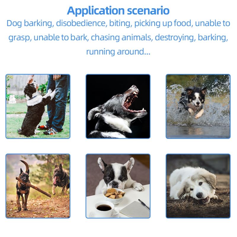 2021 Nuevo Nuevo 500M Colvante de Transporte de Priguridad de Perro Pet Remoto Recargable Recargable Con Pantalla Lcd Para Todo el TamaÑo Sonido de VibraciÓN de TamaÑO