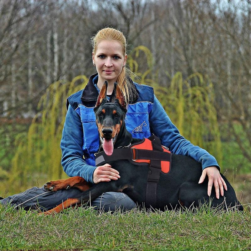 Arnés para perros, chaleco de mascotas ajustable transpirable reflexivo sin tirón con mango para caminar al aire libre