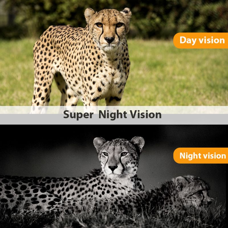 Cámaras móviles celulares de la caza de la visión nocturna de la cámara 20MP 1080P de la fauna del rastro de HC801M 2G MMS SMS SMTP