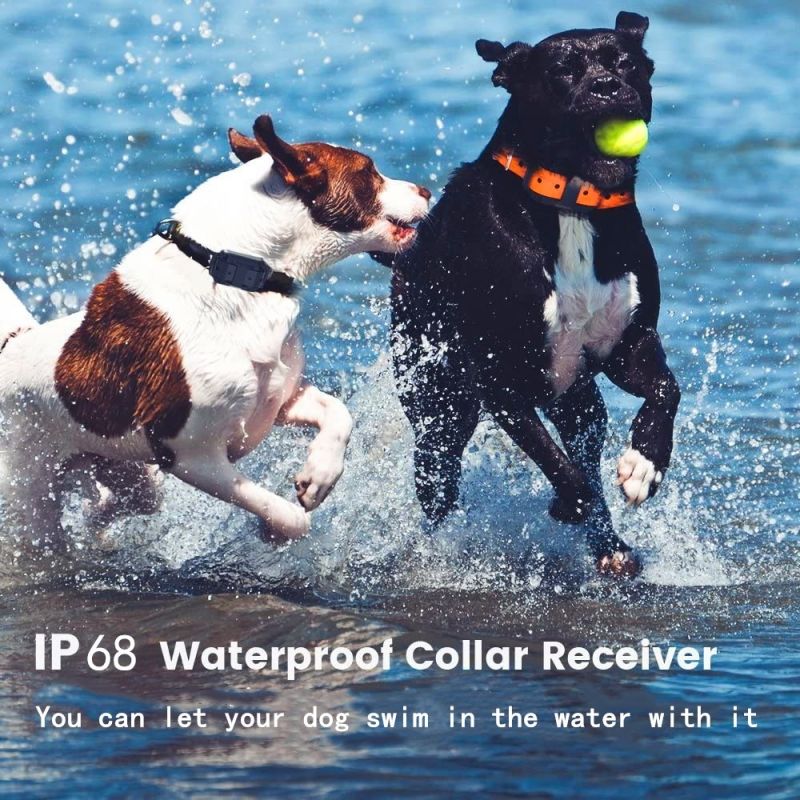 2020 Nuevo 1000m Electric Dog Collan Colllar PET control remoto impermeable recargable con pantalla LCD para todos los collares de tope de corteza