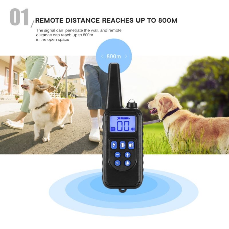 2020 Nuevo 800M Electric Training Collan Colllar PET control remoto impermeable recargable con pantalla LCD para todo el tamaño de la vibración de choque