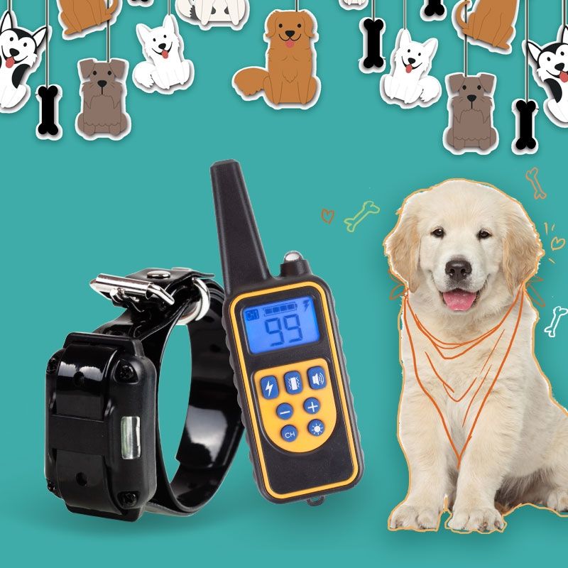 800m Electric Dog Training Colllar PET control remoto impermeable recargable con pantalla LCD para todo el tamaño de la vibración de choque
