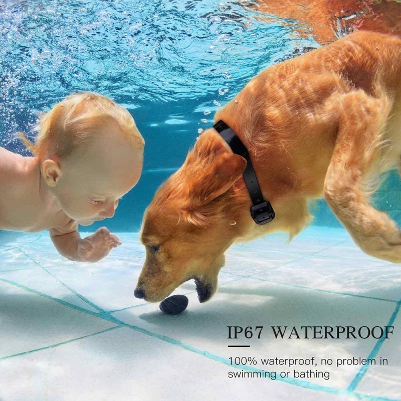 800m Electric Dog Training Colllar PET control remoto impermeable recargable con pantalla LCD para todo el tamaño de la vibración de choque