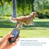 Collar de entrenamiento eléctrico para perros de 800 m, collar de choque para perros con 3 modos de entrenamiento, collar electrónico de entrenamiento de choque para perros con control remoto para perros pequeños, medianos y grandes