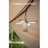 Klarus CL2 750 Lumen Freefolding Eye-caring Camping Light Luz de ambiente/Lámpara de escritorio/Linterna