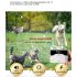 Sistema inalámbrico de cerca electrónica para perros y Collar de entrenamiento remoto, pitido, vibración de choque y contención de mascotas para cachorros de todos los tamaños