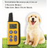 2020 Nuevo 1000m Electric Dog Collan Colllar PET control remoto impermeable recargable con pantalla LCD para todos los collares de tope de corteza