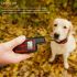 Nuevo collar de entrenamiento de perros recargable impermeable remoto de perros eléctrico de perros de perros con beep de vibración entrenamiento para perros collar de perro electrónico