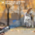 Repelente ultrasónico de perros, dispositivo disuasorio, antiladridos, Control de parada, entrenamiento de ladridos, repelente de perros de alta potencia con linterna LED