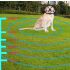 Cerca electrónica inalámbrica para mascotas, dispositivo de entrenamiento para perros inteligentes, Colla de descarga eléctrica antipérdida y antiladridos